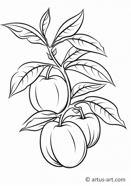 Página para colorir de Fruta Pêssego